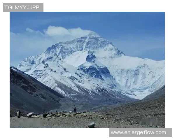 重庆篮球队的奋斗历程与亚运会荣耀之路