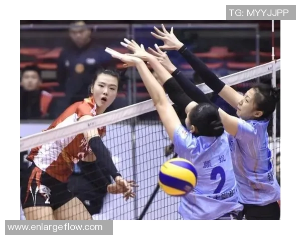 重庆排球队团队协作引发热议球迷对战术配合和默契度的不同看法