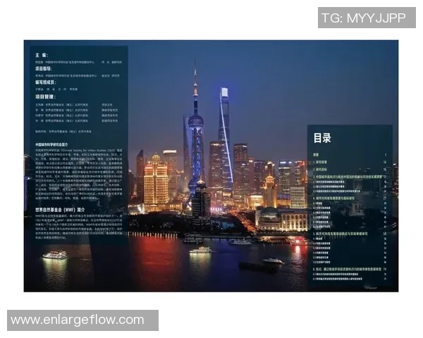 重庆排球队的运营模式与发展策略深度解析 重庆排球队的运营模式与发展策略深度解析