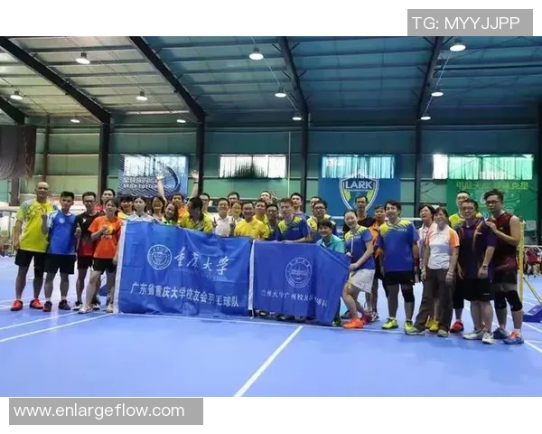 重庆羽毛球队运营策略深度分析与发展前景探讨