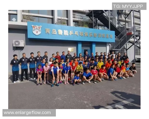 成都乒乓球队个人能力深度对比分析与发展潜力探讨