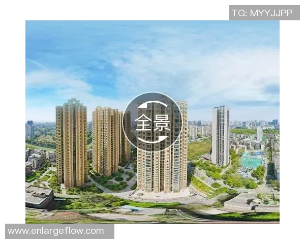 成都羽毛球队阵地战全景解析与未来发展展望