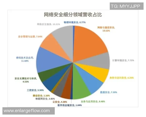 武汉排球队的整体压制革新探索与发展之路全景分析