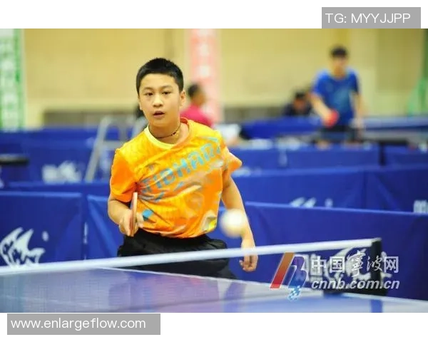 王强谈乒乓球生涯:从青涩少年到世界冠军的心路历程 王强谈乒乓球生涯:从青涩少年到世界冠军的心路历程